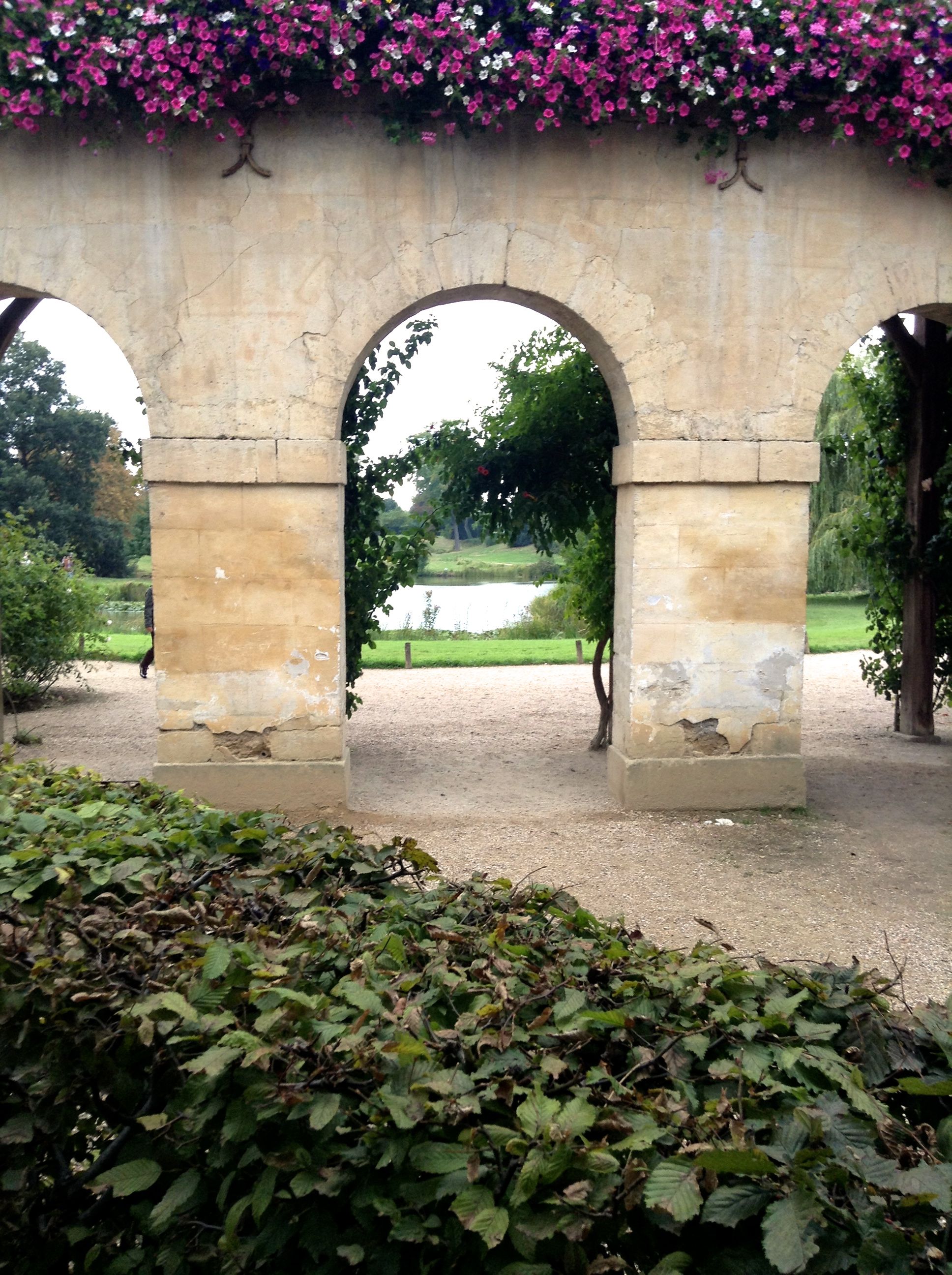 Carson Reeves Scriptshadow The “Carson Is In France” Scriptshadow Secrets Book $4.99 Sale!