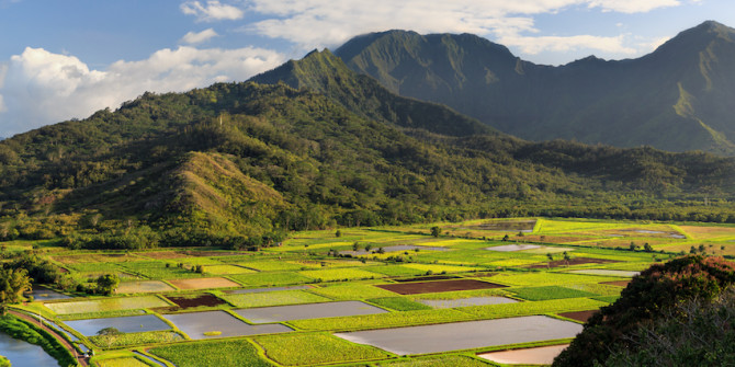 shutterstock_140030836_View-overlooking-the-taro-fields-on-Kauai-Hawaii-copy