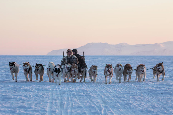 inuit-hunters-and-dog-sled-team-cristina-mittermeier