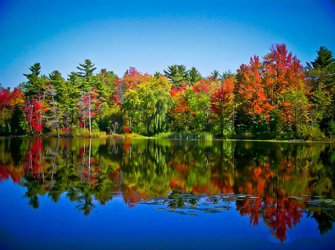 trees-in-peak-fall-colors-reflected-on-a-blue-lake-chantal-photopix
