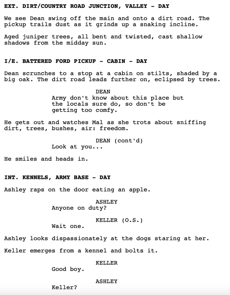 Screenplay Review – Mal